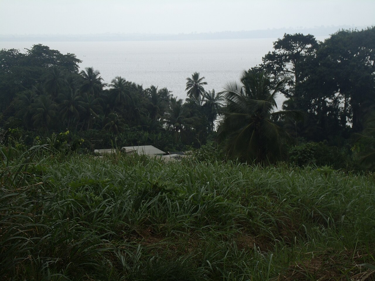 Lagune Aby vue d'Adiaké