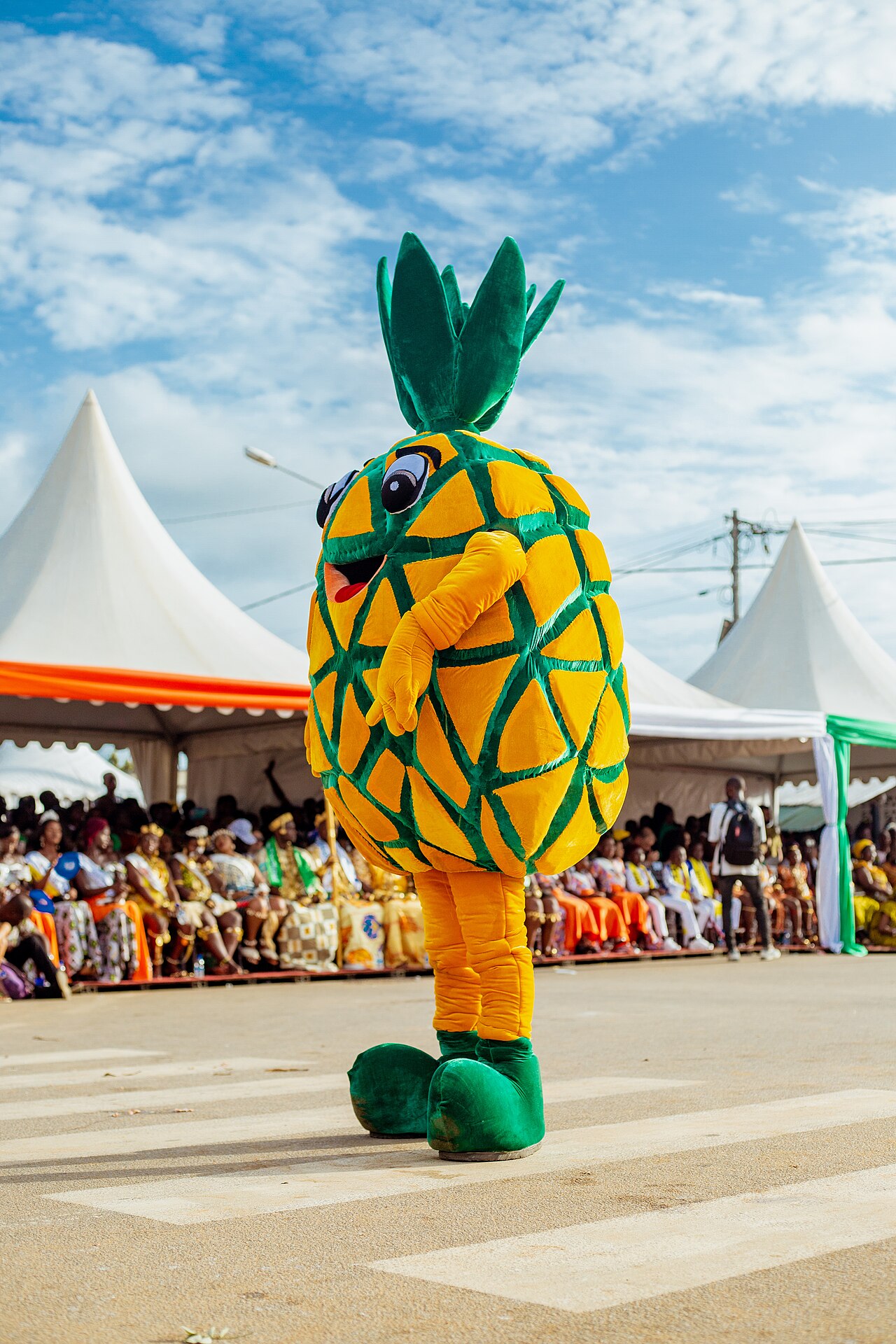 Mascotte du Popo Carnaval de Bonoua
